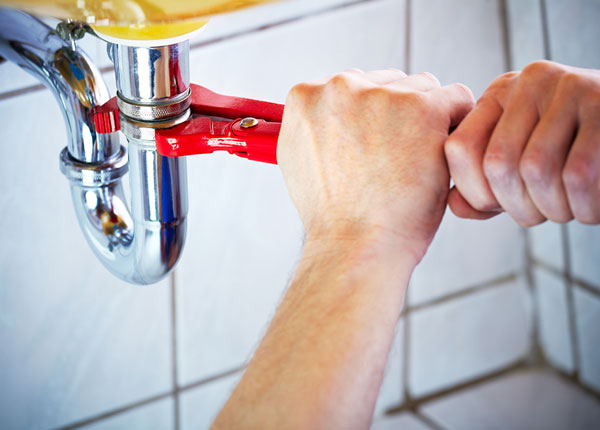 About Panacea Plumbers